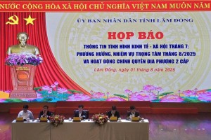 Lâm Đồng tăng cường hỗ trợ cơ sở và doanh nghiệp, phát triển kinh tế tư nhân