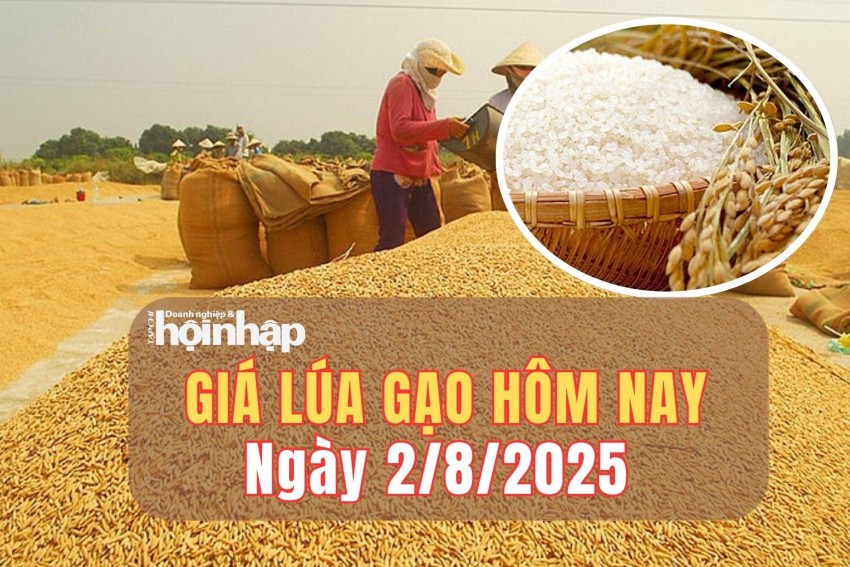 Giá lúa gạo hôm nay 2/8/2025: Đồng bằng sông Cửu Long biến động nhẹ, giao dịch trầm lắng