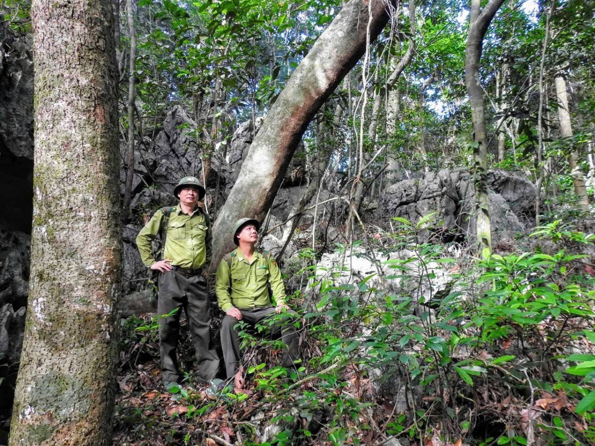 Cát Bà – nơi di sản sống được thắp sáng từng ngày