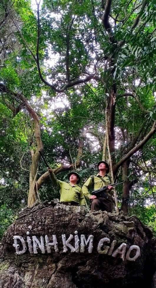 Sáu tháng đầu năm 2025 đánh dấu nửa chặng đường với nhiều nỗ lực nổi bật của tập thể cán bộ, viên chức và người lao động Vườn Quốc gia Cát Bà.