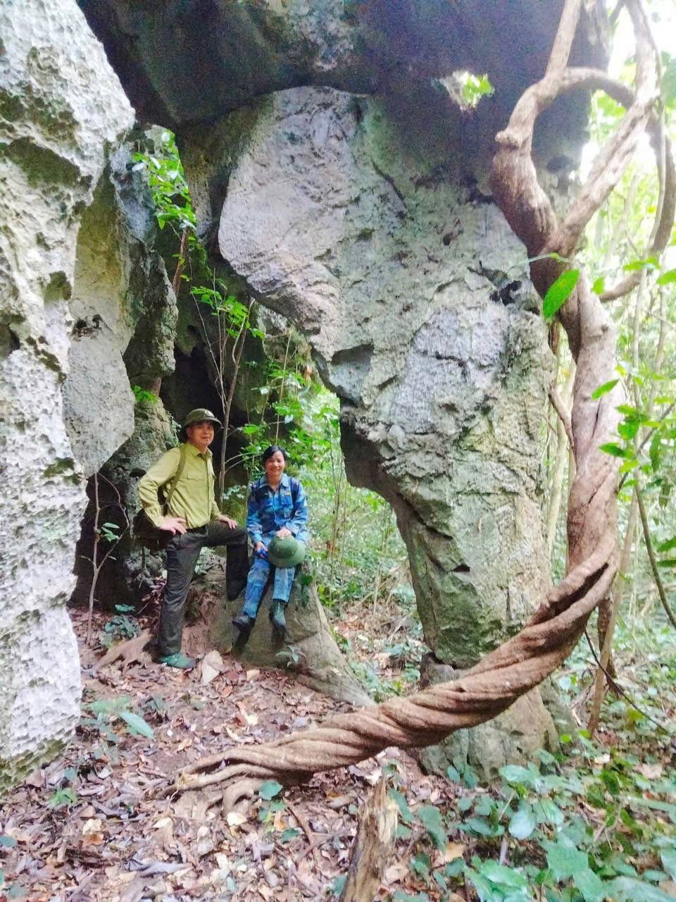 Cát Bà – nơi di sản sống được thắp sáng từng ngày