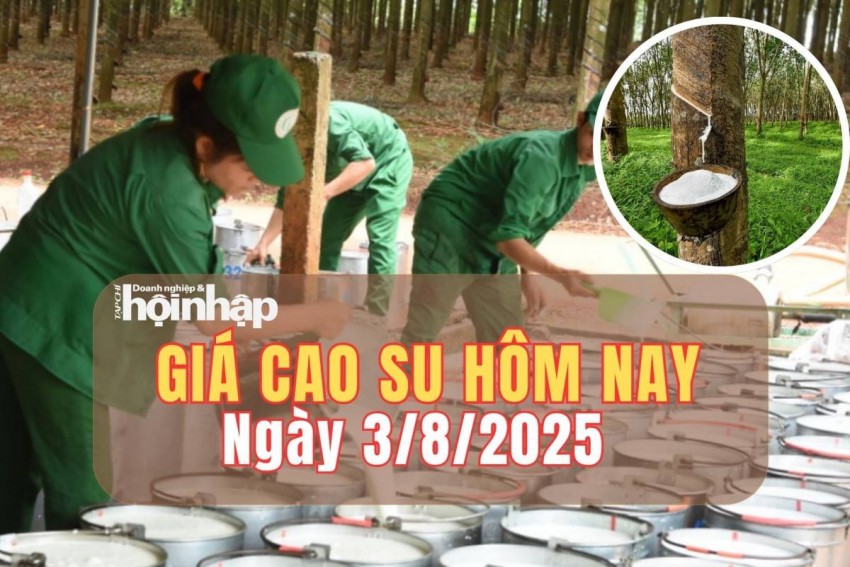 Giá cao su hôm nay 3/8/2025: Giá cao su Giá cao su thế giới điều chỉnh, trong nước vẫn “án binh bất động”