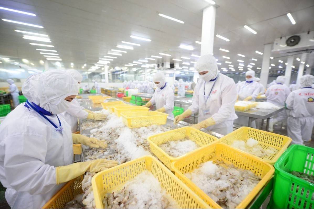 VASEP kiến nghị 7 nhóm vấn đề trọng tâm gỡ vướng thuế GTGT cho doanh nghiệp thủy sản