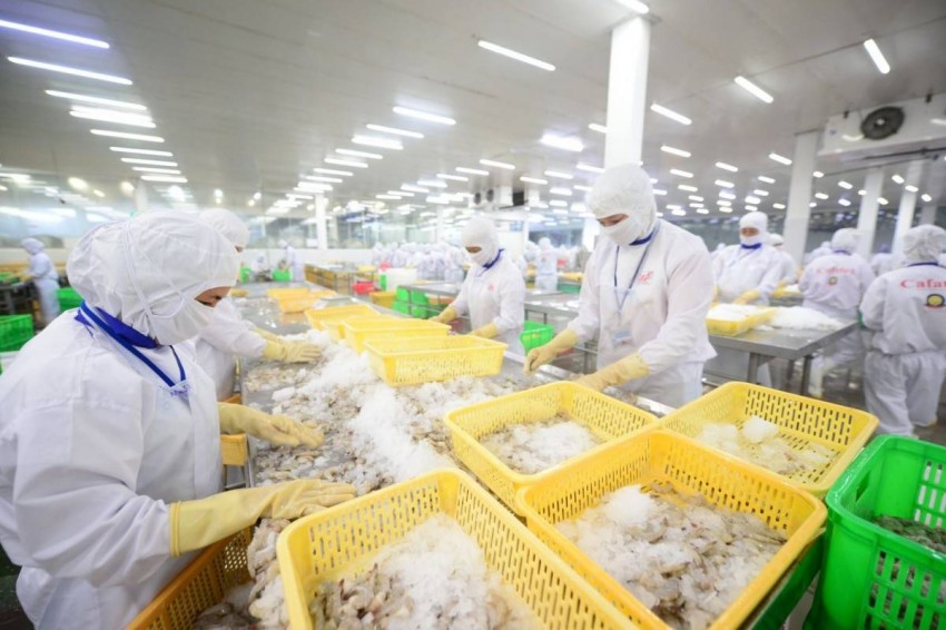 VASEP kiến nghị 7 nhóm vấn đề trọng tâm gỡ vướng thuế GTGT cho doanh nghiệp thủy sản