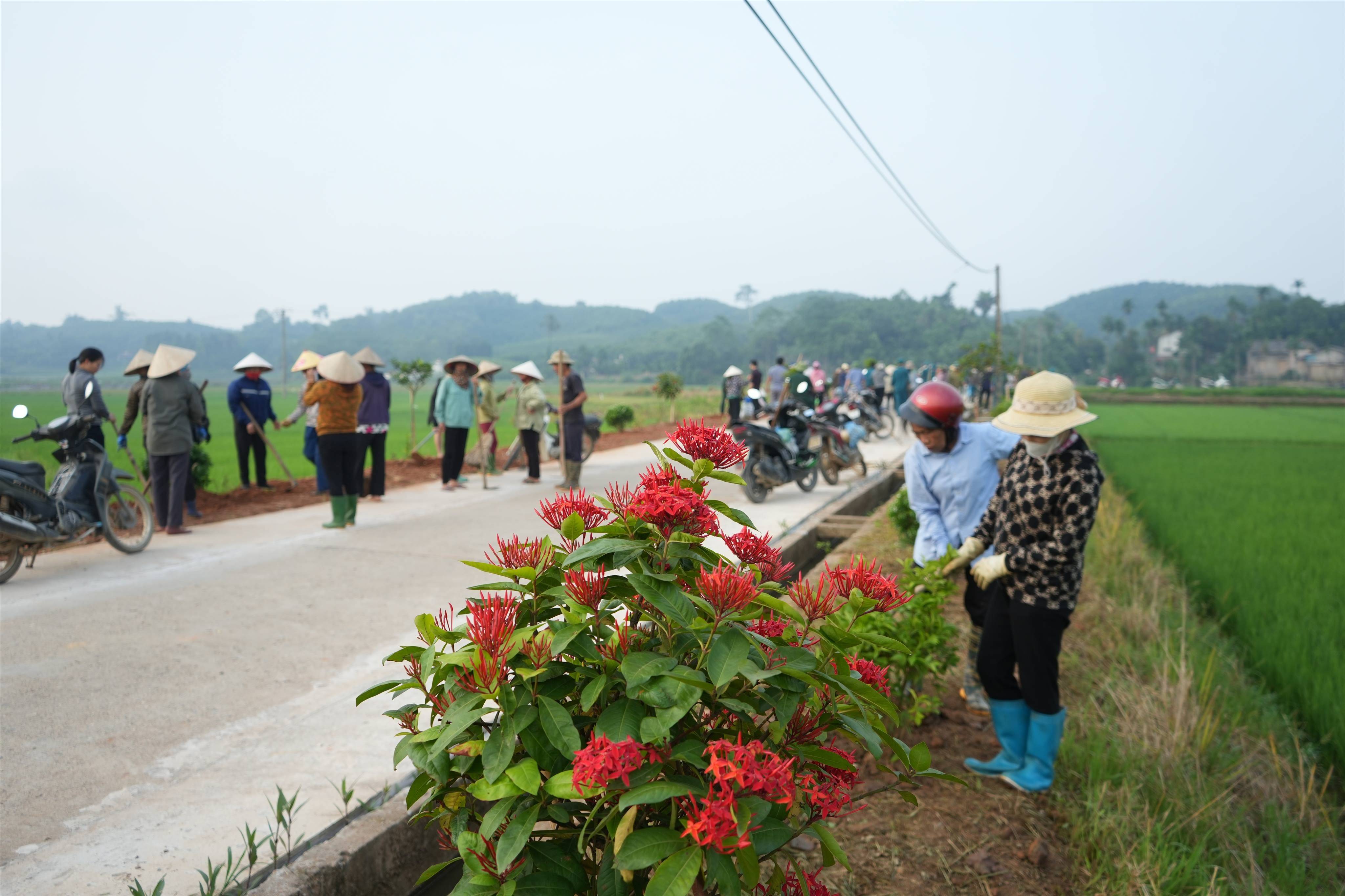 Trấn Yên (Lào Cai): Thắp sáng làng quê bằng hoa và niềm tin trước thềm Đại hội Đảng các cấp