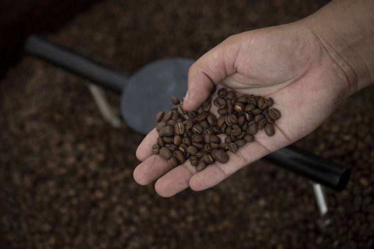 Cà phê Brazil bị Mỹ đánh thuế 50%: Trung Quốc hưởng lợi?