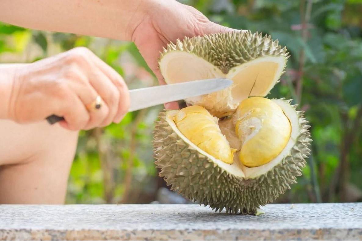 Sầu riêng Việt Nam bước vào giai đoạn chuẩn hóa: Cơ hội tăng tốc, áp lực thích nghi