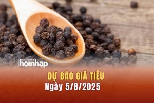 Dự báo giá tiêu 5/8: Giá tiêu trong nước tiếp đà tăng "vọt", thế giới giảm sâu