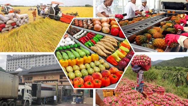 Xuất khẩu nông sản 7 tháng đạt 39,68 tỷ USD