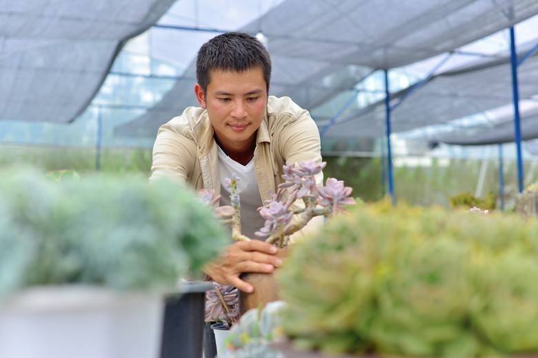 Tinh thần khởi nghiệp lan tỏa mạnh mẽ sau Nghị quyết 68