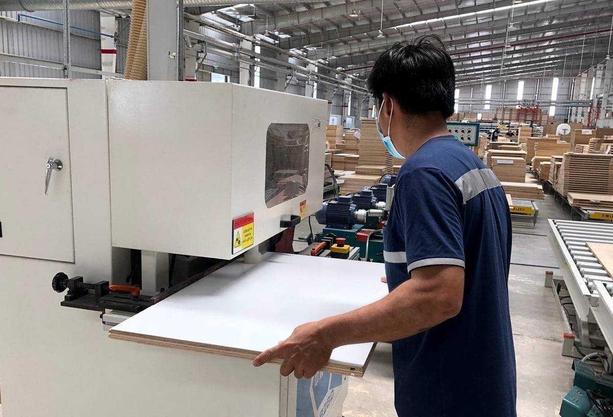 Ngành gỗ Việt Nam trước “sóng lớn” phòng vệ thương mại