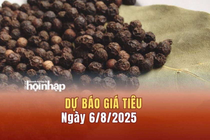 Dự báo giá tiêu 6/8:  Giá tiêu trong nước có xu hướng "bật" tăng mạnh