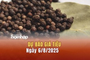 Dự báo giá tiêu 6/8:  Giá tiêu trong nước có xu hướng "bật" tăng mạnh