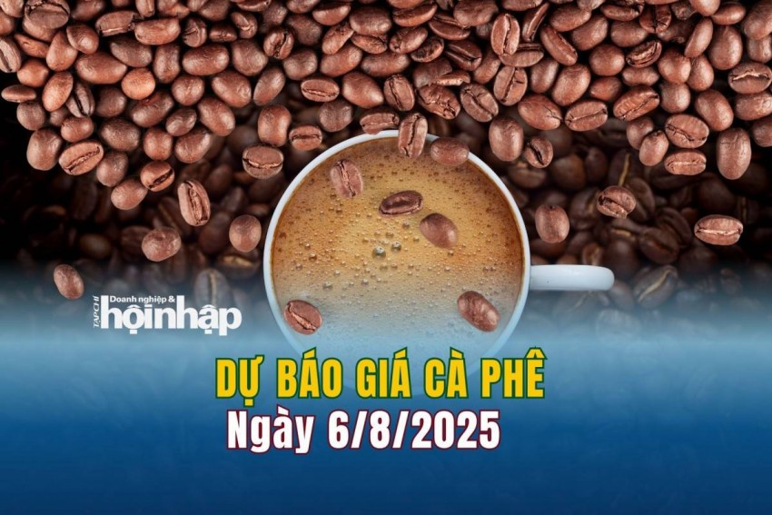 Dự báo giá cà phê 6/8/2025