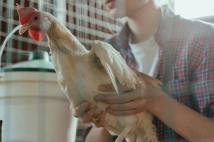 Trợ cấp thất nghiệp – Điểm tựa cho những người trẻ dám mơ lớn