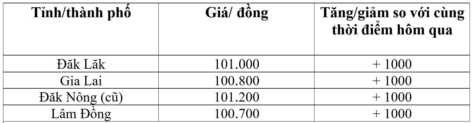 Bảng giá cà phê trong nước hôm nay 7/8/2025