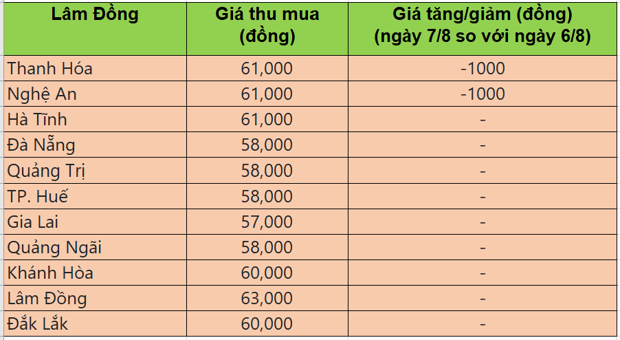 Bảng giá heo hơi tại miền Trung - Tây nguyên hôm nay 7/8/2025