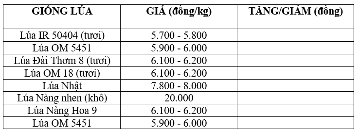 Bảng giá lúa hôm nay 7/9/2025