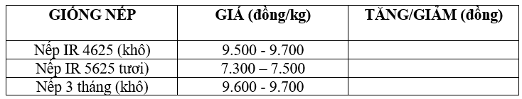 Bảng giá nếp hôm nay 15/11/2025
