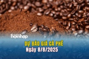 Dự báo giá cà phê 8/8: Cà phê trong nước "quay xe" giảm mạnh