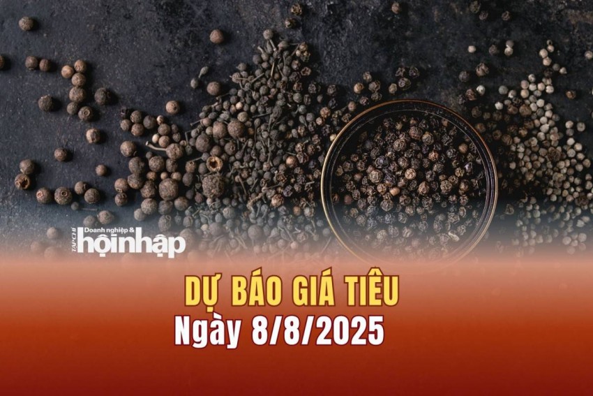 Dự báo giá tiêu 8/8/2025