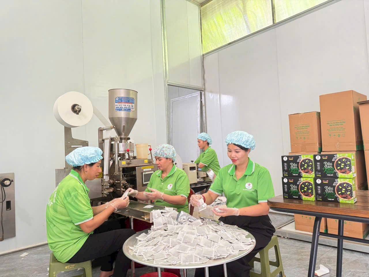 Tiềm năng OCOP Tuyên Quang: Khi phụ nữ tiên phong bằng nông nghiệp hữu cơ