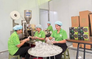 Tiềm năng OCOP Tuyên Quang: Khi phụ nữ tiên phong bằng nông nghiệp hữu cơ