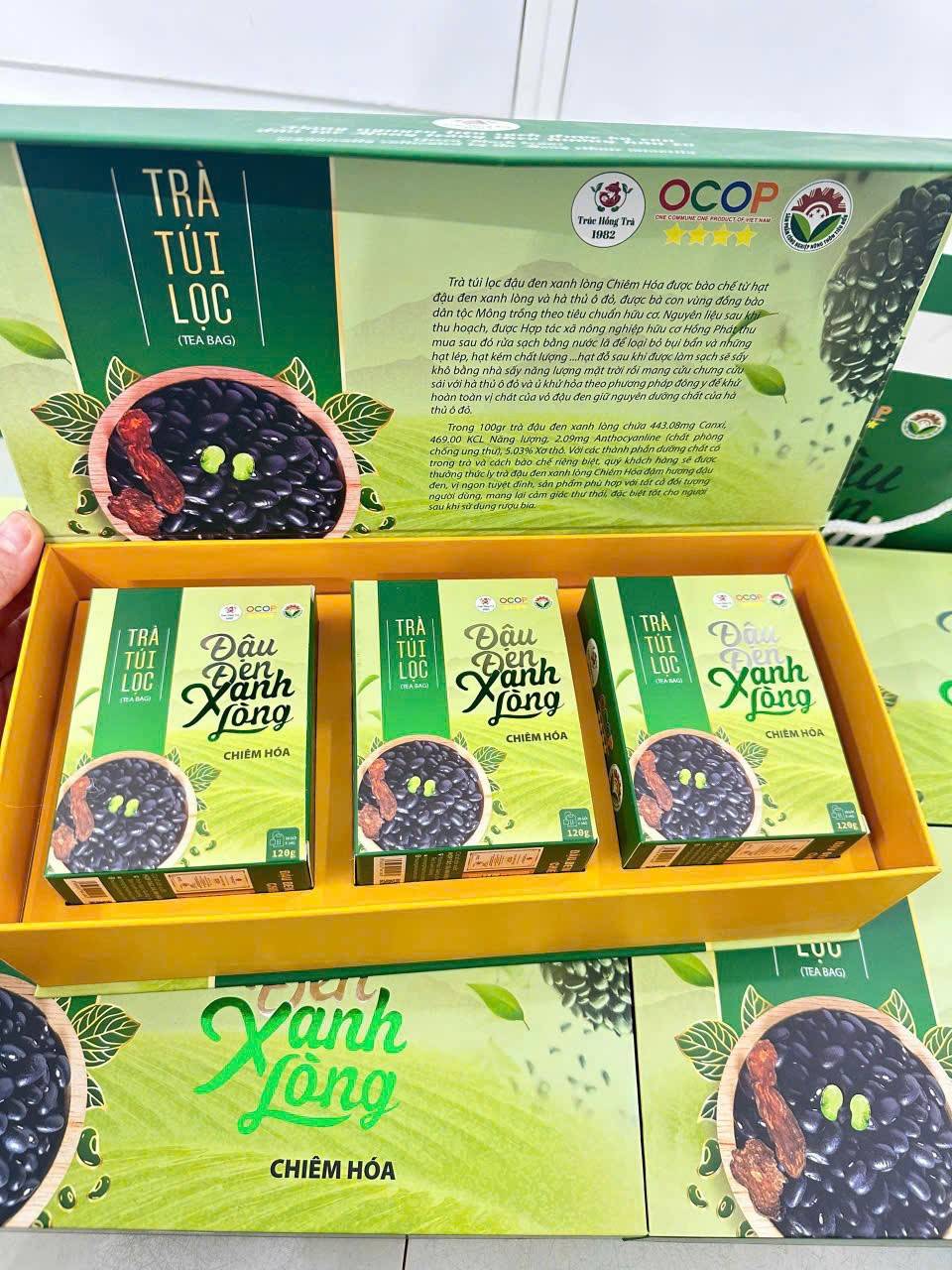 Tiềm năng OCOP Tuyên Quang: Khi phụ nữ tiên phong bằng nông nghiệp hữu cơ