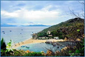 Cho những cánh yến bình yên trở về tổ mỗi ngày