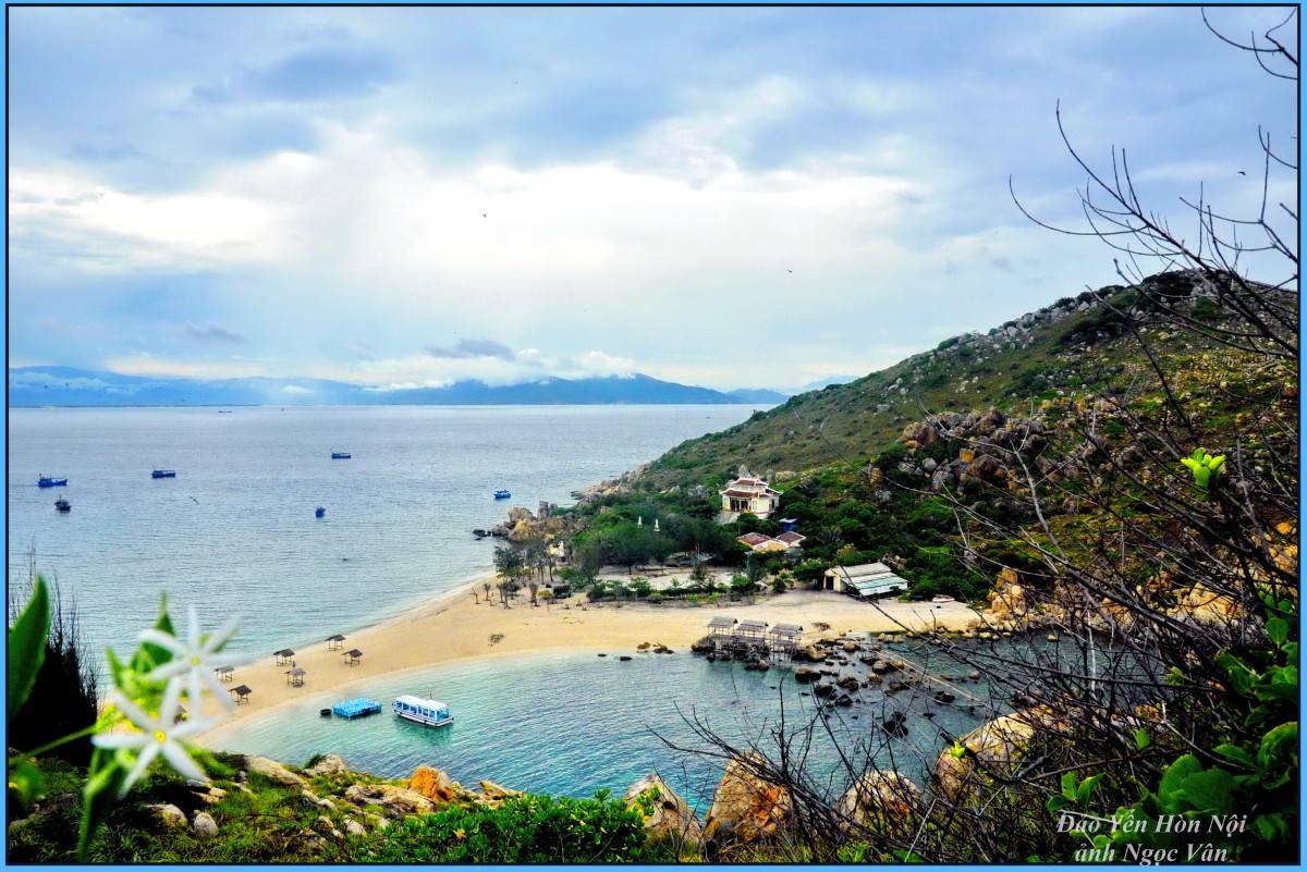 Cho những cánh yến bình yên trở về tổ mỗi ngày