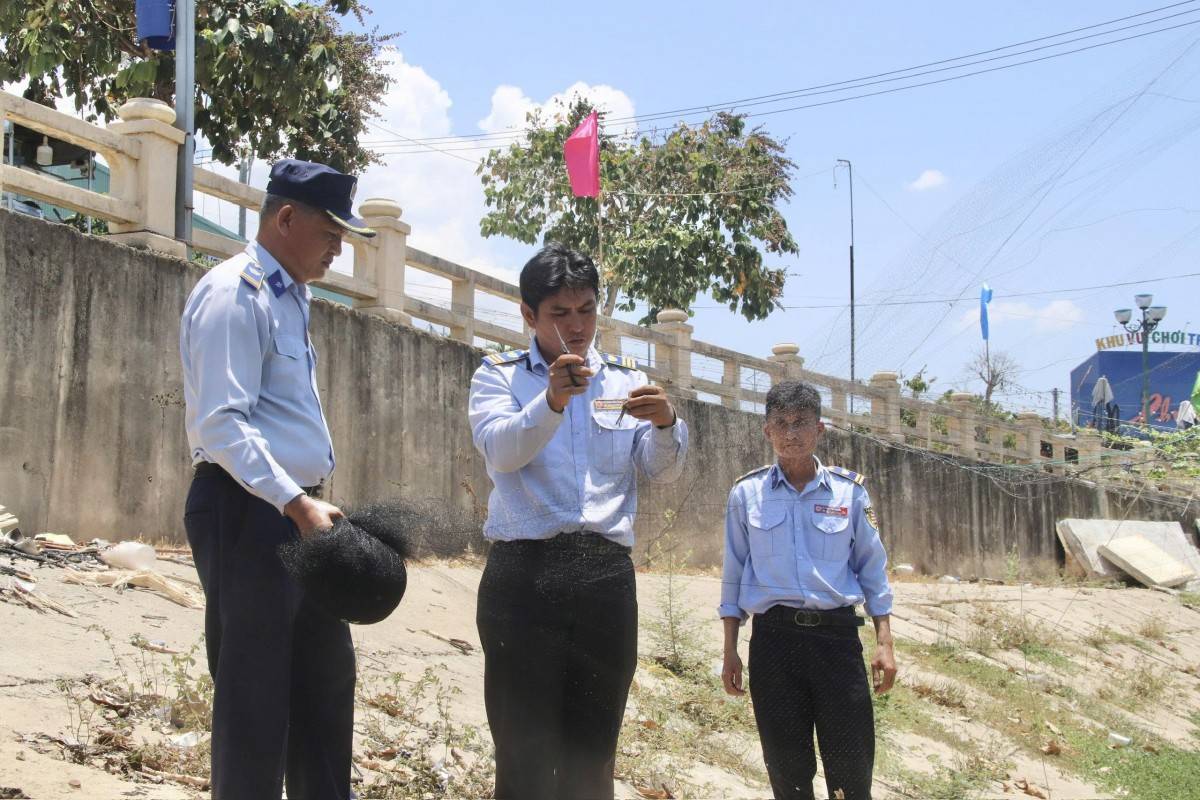 Cho những cánh yến bình yên trở về tổ mỗi ngày