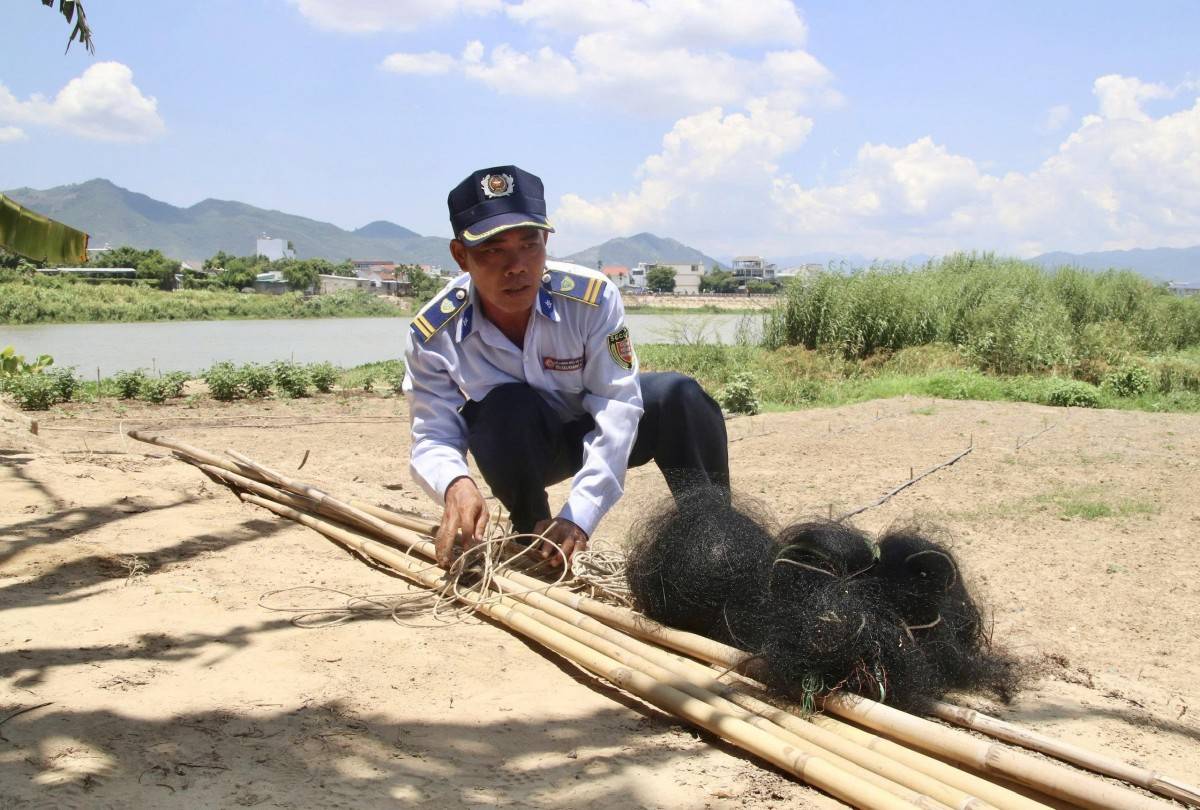 Cho những cánh yến bình yên trở về tổ mỗi ngày