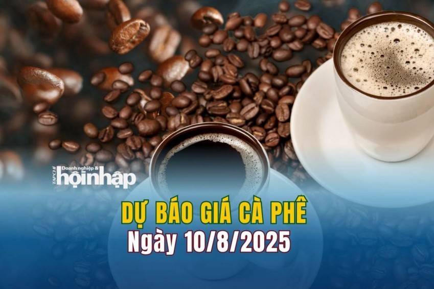 Dự báo giá cà phê 10/8: Cà phê trong nước tăng "phi mã"