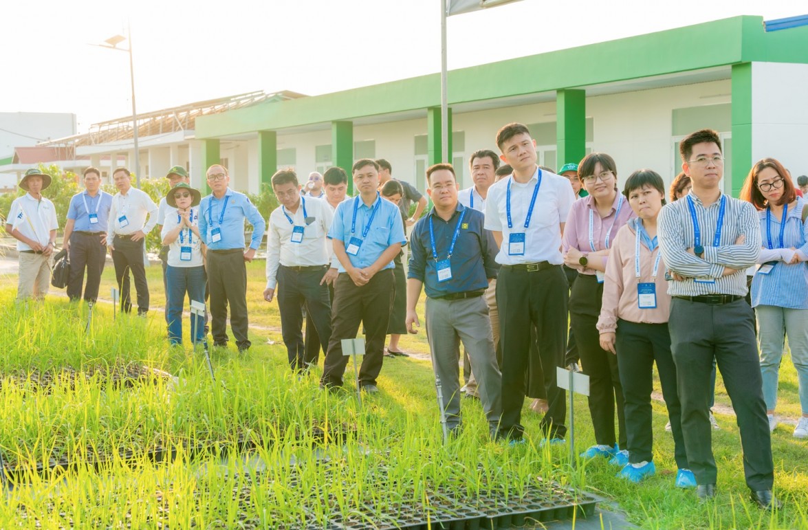 Số hóa, vốn xanh giúp nông nghiệp Việt tái thiết hiệu quả