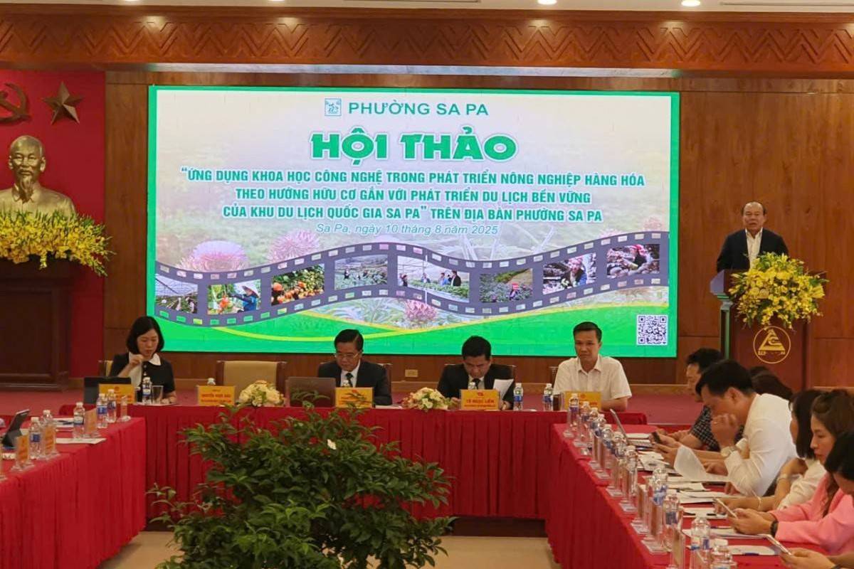 Sa Pa hướng tới “Hệ sinh thái du lịch nông nghiệp hữu cơ thông minh”