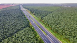 VEC sắp thu phí tại nút giao Vành đai 3 TP. Hồ Chí Minh
