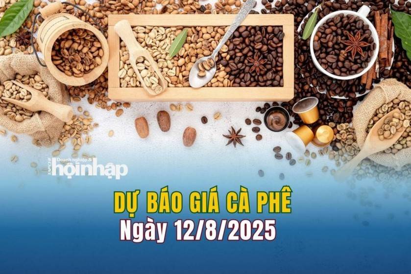 Dự báo giá cà phê 12/8: Cà phê trong nước và thế giới đồng loạt tăng mạnh