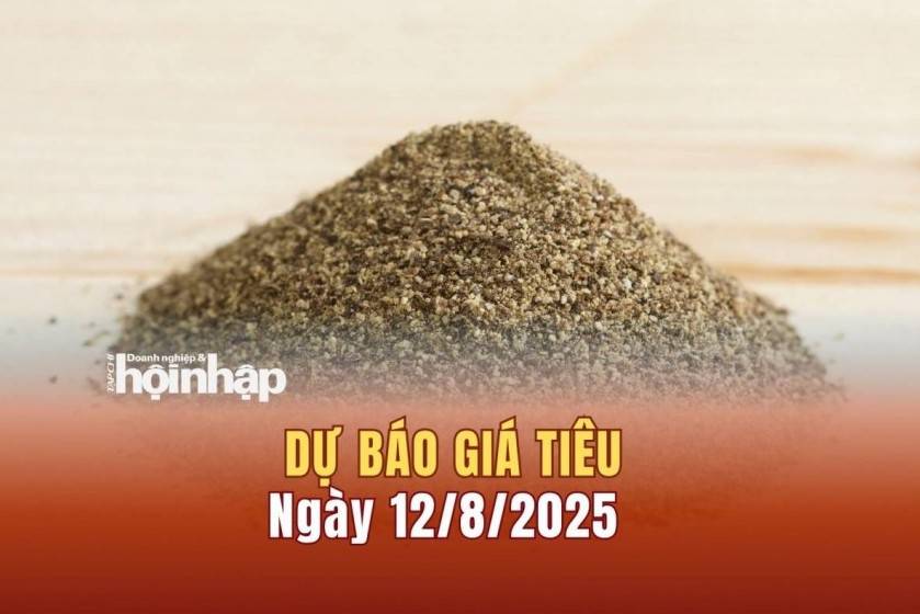 Dự báo giá tiêu 12/8: Tiêu trong nước tăng mạnh, thiết lập mốc giá mới