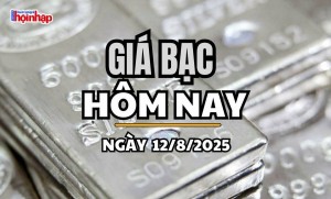Giá bạc hôm nay 12/8/2025: Giá bạc tiếp đà giảm mạnh