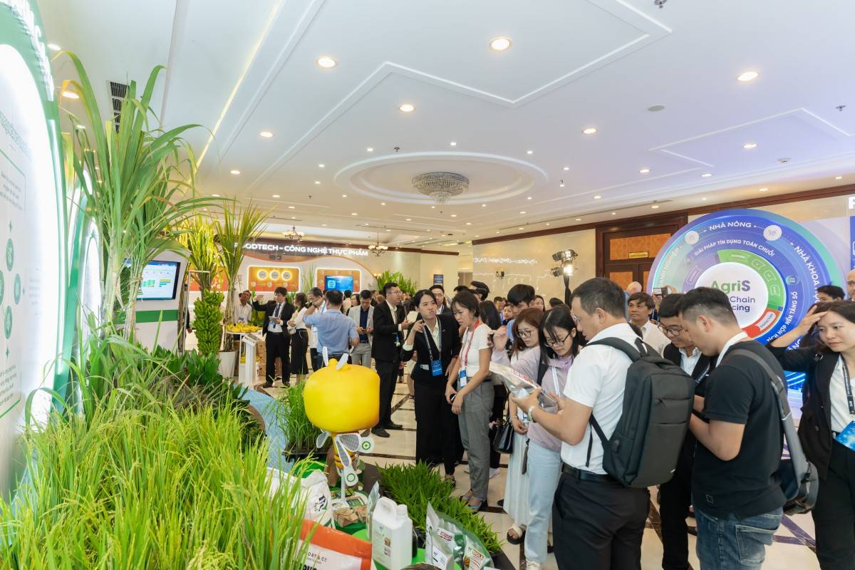 Cần “giấc mơ lớn” để tái thiết nông nghiệp Việt