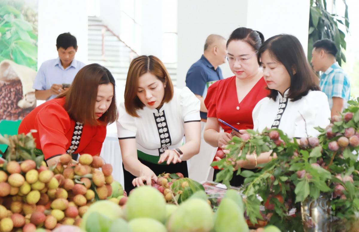 Sơn La: “Cầu nối” đưa nông sản và du lịch vươn xa