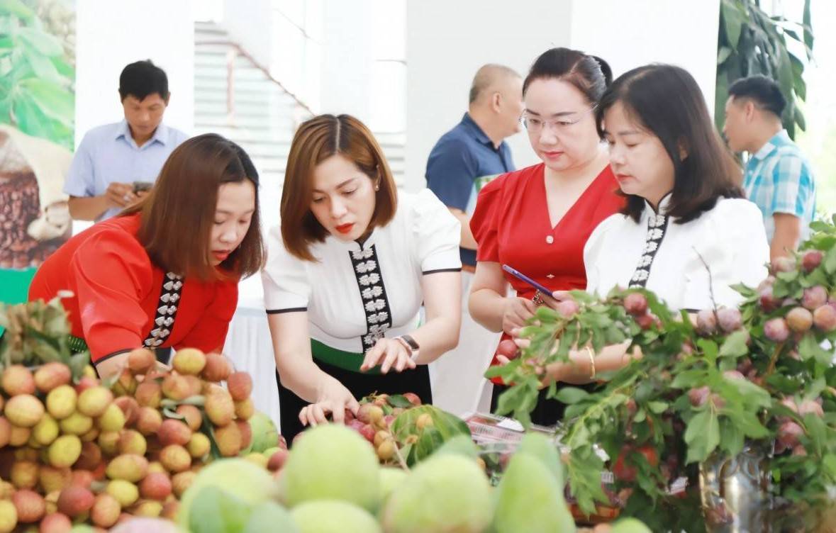 Sơn La: “Cầu nối” đưa nông sản và du lịch vươn xa