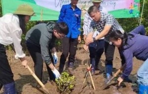 Ươm những điều bền vững: Trồng cây tại Khu bảo tồn thiên nhiên đất ngập nước Thái Thụy