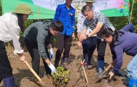 Ươm những điều bền vững: Trồng cây tại Khu bảo tồn thiên nhiên đất ngập nước Thái Thụy