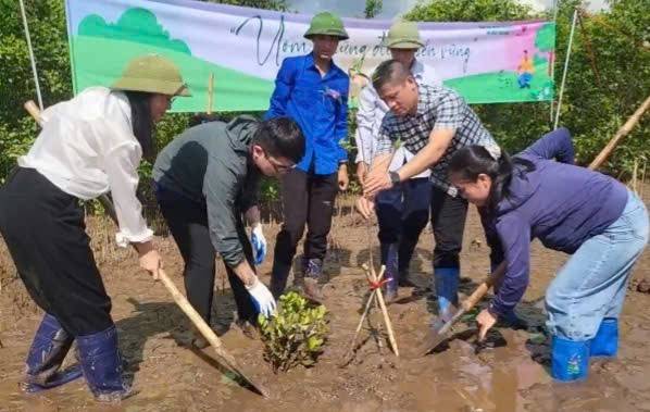 Ươm những điều bền vững: Trồng cây tại Khu bảo tồn thiên nhiên đất ngập nước Thái Thụy