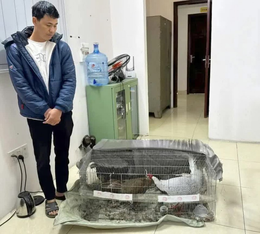 Kháng nghị toàn bộ bản án 6 năm tù đối với người nuôi gà lôi trắng