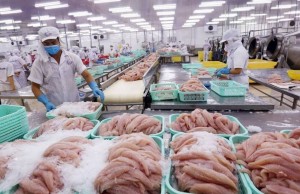 Hợp tác Việt Nam – Belarus: Cơ hội từ FTA, EAEU và tiềm năng tăng trưởng thương mại