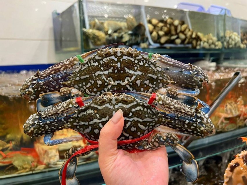 Xuất khẩu cua ghẹ lập kỷ lục 10 năm