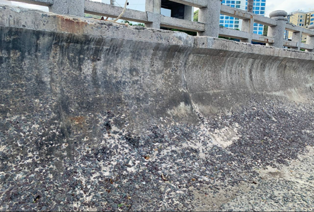 Thực trạng và Giải pháp tiên tiến chống ăn mòn bền vững cho công trình biển Việt Nam