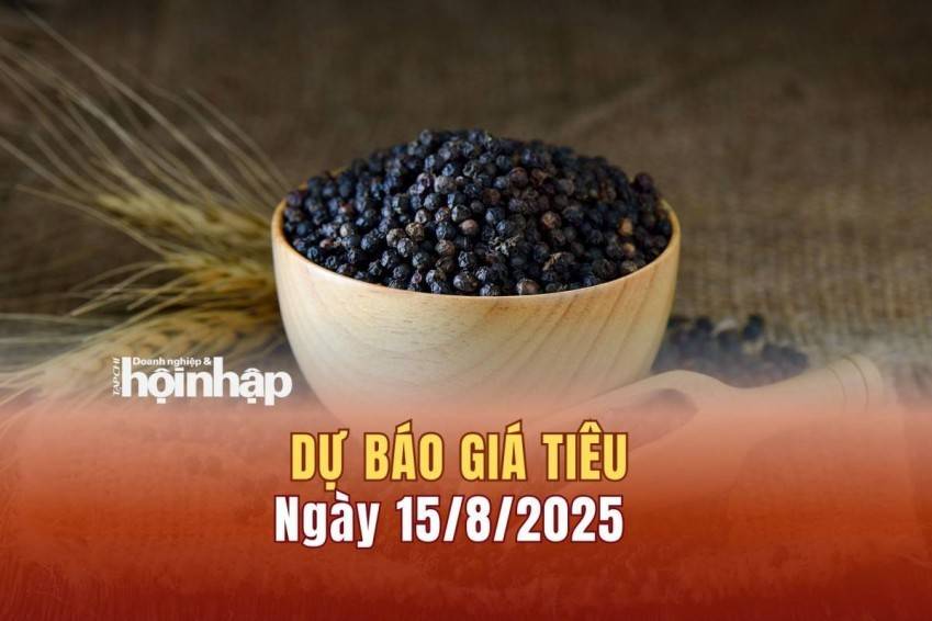 Dự báo giá tiêu 15/8: Tiêu trong nước có xu hướng tăng cao, chạm mốc đỉnh mới